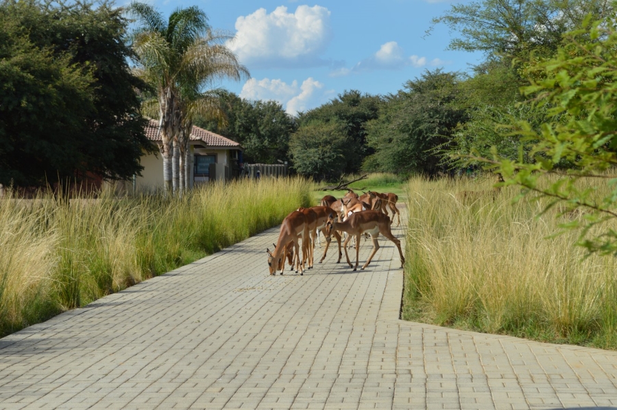 3 Bedroom Property for Sale in Wilkoppies North West